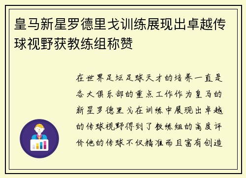 皇马新星罗德里戈训练展现出卓越传球视野获教练组称赞 皇马新星罗德里戈训练展现出卓越传球视野获教练组称赞